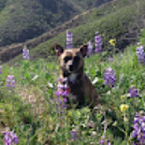 Meet your Posher, Susana